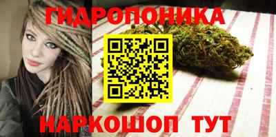 spice Тара