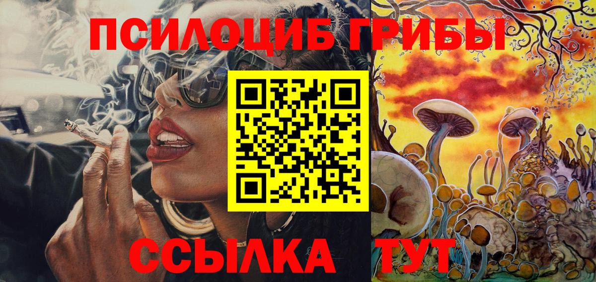 наркота  Вход с VPN  Нижневартовск  Псилоцибиновые грибы Psilocybine cubensis 